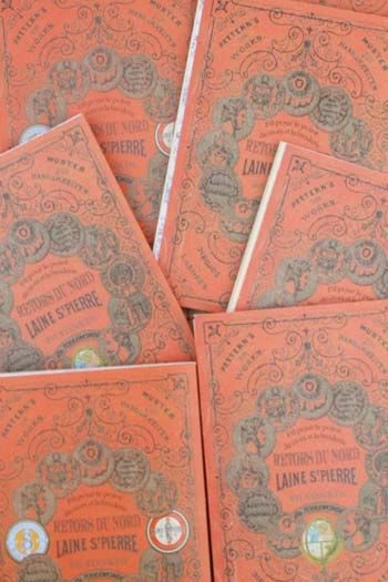 Album De Point De Croix Sajou Rouge N°913 4 Album De Point De Croix Sajou Rouge N°913 – Image 4