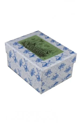 Boîte Atelier étiquette Albums Sajou Verts 1 Boîte Atelier étiquette Albums Sajou Verts