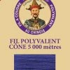 Fil Polyester Grand Cône 5731 - Agathe