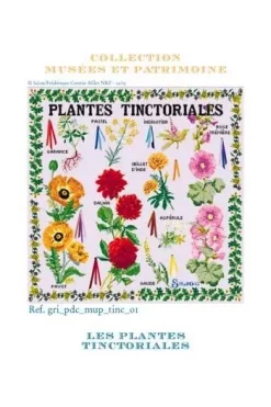 Grille De Point De Croix Plantes Tinctoriales