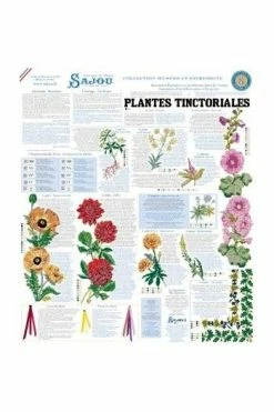 Grille De Point De Croix Plantes Tinctoriales -artisanat Soldes Magasin grille de point de croix plantes tinctoriales 3