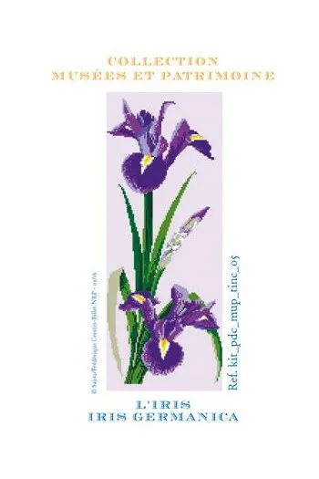 Kit De Point De Croix Fleur Iris 1 Kit De Point De Croix Fleur Iris