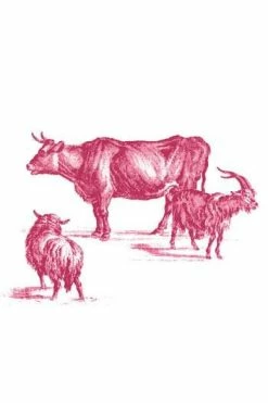 T-shirt Sajou Recto Verso Taille S -artisanat Soldes Magasin t shirt sajou recto verso taille s 3