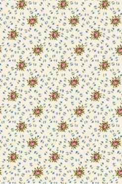 Tissu Coton Au Mètre Marie Antoinette Trianon 6 Tissu Coton Au Mètre Marie Antoinette Trianon -artisanat Soldes Magasin tissu coton au metre marie antoinette trianon 1