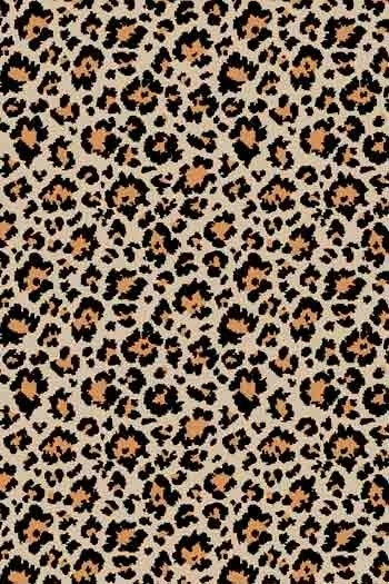 Tissu Coton Au Mètre Motif Léopard 3 Tissu Coton Au Mètre Motif Léopard – Image 3