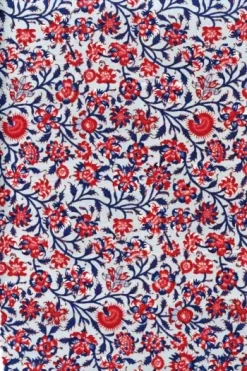 Tissu Indienne Au Mètre Fond Bleu Ciel N°07